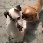 Hotel централ