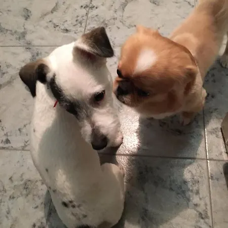 Szálloda централ