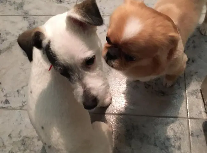 Hotell централ